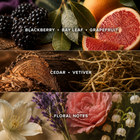BLACKBERRY MEMORIES