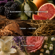 BLACKBERRY MEMORIES