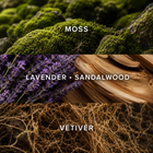 LAVENDER LION